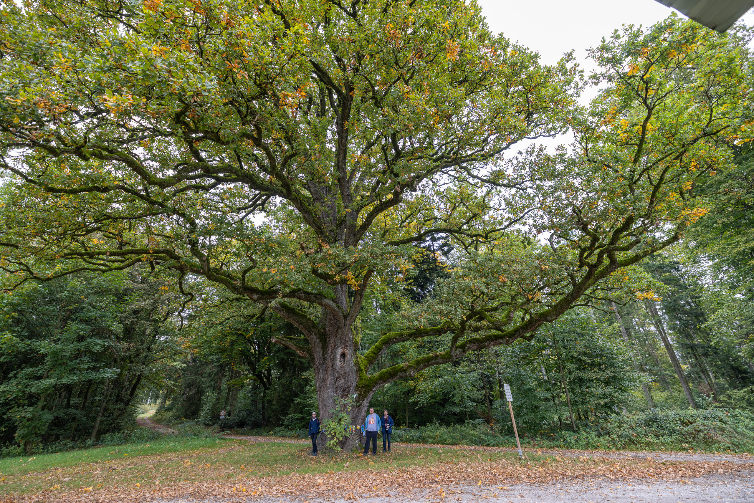 20231015104316 R5D 4320